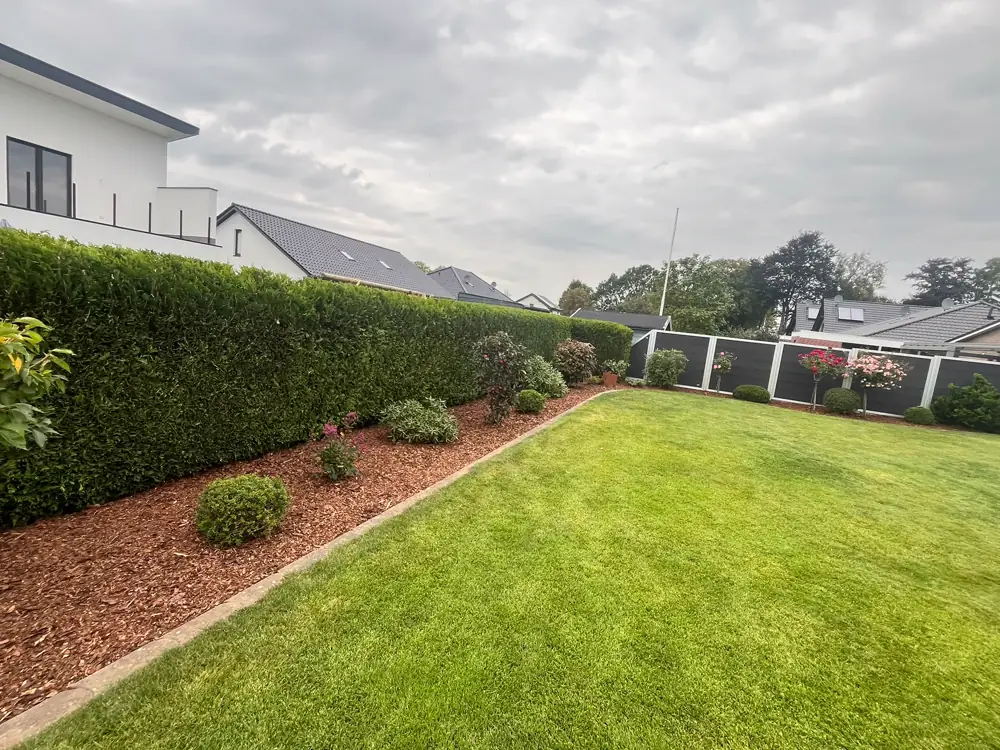 Gepflegte Rasenfläche mit Hecke und frisch gemulchtem Beet